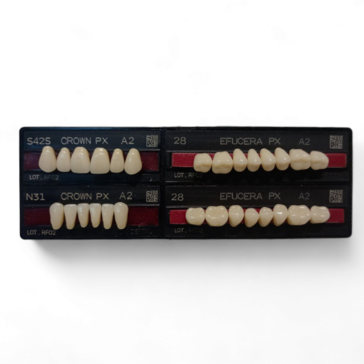 تصویر  دندان مصنوعی ژاپنی یاماهاچی Yamahachi